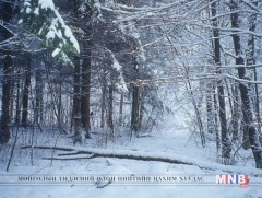 Өнөөдөр баруун аймгуудын нутгийн зарим газраар цас орно 