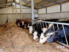 Тэжээл тарих талбай хомс байна