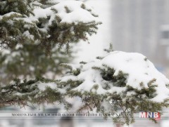 Амралтын өдрүүдэд зарим нутгаар цас орж, цасан шуургатай байна 