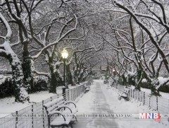 Төвийн аймгуудын нутгийн зүүн хэсгээр бага зэргийн цас орж, явган шуурга шуурна 