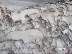 Боловсруулах үйлдвэрүүдэд гологдолгүй түүхий эд нийлүүлнэ