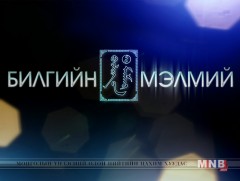 Билгийн мэлмий: Шогол