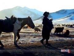 “Малчдын нэгдэл” байгуулна