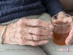 Ахмадуудад зориулсан асрамж, сувиллын газар цөөн байна 