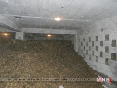 2020 он гэхэд төмс, хүнсний ногоог хадгалах баталгаатай зоорийн хангамжийг бүрдүүлнэ