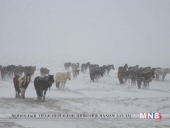 Хүйтний эрч чангарна 