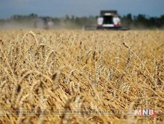 Үрээ чанаржуулвал газар тариалан тогтвортой байна