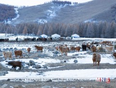 Ихэнх нутгаар хүйтэн, жавартай байна