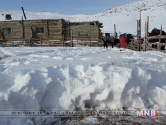 Зарим суманд цасны зузаан 10-15 см байна