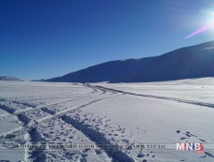 Алга болсон туслах малчин айлын хашаанд унтаж байжээ