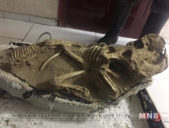 80 сая жилийн настай үлэг гүрвэлийн ясыг борлуулах гэж байжээ