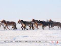 Зүүн аймгуудын нутгаар цас орно 