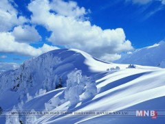 Өвлийн зэрэглээ