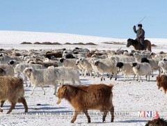 Малчнаар ажилласан жилээ хэрхэн нотлох вэ
