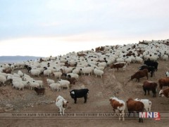 Өвөрхангай аймагт цас багатай өвөл болж байна