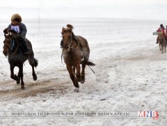 Морь хөлсөлж байгаад тархиндаа хүнд бэртэл авсан 2 хүүхэд ГССҮТ-д эмчлүүлж байна