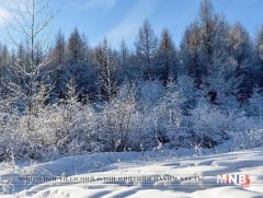 Нөгөөдрөөс ихэнх нутгаар хүйтэрнэ