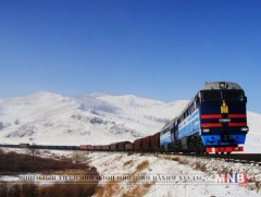 Вагоны зорчигч бүсгүй амаржиж, хүү төрүүлжээ