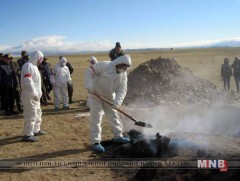 Шүлхий өвчний улмаас устгасан малын нөхөн төлбөрийг хэзээ олгох вэ