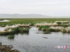 Өнөөдөр “Дэлхийн ус намгархаг газрын өдөр” тохиож байна