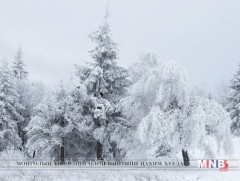 Ойрын өдрүүдэд ихэнх нутгаар жиндүү хүйтэн байна