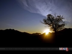 Эх орны өглөө