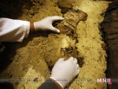 Архелогичид нохойн мумми олжээ