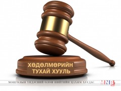 Хуульчид шинээр боловсруулсан хөдөлмөрийн тухай хуулийг шүүмжилж байна