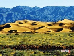 Газарч жаалууд: Өмнөговь аймгийн байгалийн үзэсгэлэнт газрууд