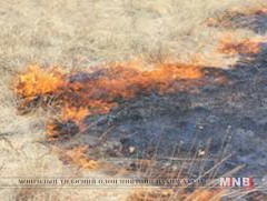 Өнжмөл шар өвс шатаах гэж байгаад гал алджээ 