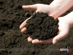 “Хөл доорх бидний ертөнц” хөрс шороо болон түүний ашиг шимийн тухай