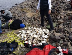 Бадархундага нуураас гаргаж авсан 279 мөнгөн аягыг улсын орлого болгоно