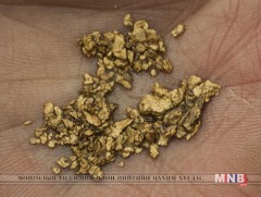 Олборлосон алтаа орон нутгийн салбар банкинд тушаана 