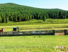 Зуслангийн ногоон бүсэд орц, гарц гаргах судалгаа хийж байна 