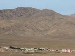 Говь-Алтай аймагт малын халдварт өвчин гараагүй