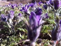 Ойрын өдрүүдэд ихэнх нутгаар дулаахан байна