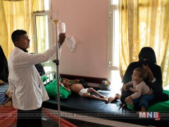 Йеменд булчин задрах тахлын 108 мянган тохиолдол бүртгэгджээ