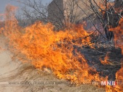 ОХУ-аас хээрийн түймэр хил даван орж иржээ