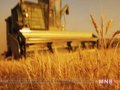 Тариалан эрхлэлтийг дэмжих сангаас 20 гаруй тэрбум төгрөгийн зээл олгоно 