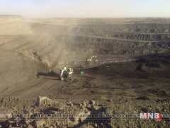 Мэргэжлээс шалтгаалсан өвчнөөр өвчлөх хүний тоо өсөх хандлагатай байна