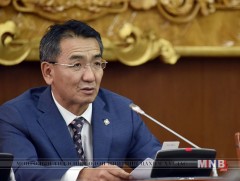 Монгол Улсад 220 мянган хүн албан бус салбарт ажиллаж байна