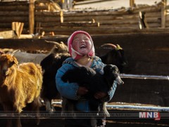 Өмнөговь аймагт “Таван эрдэнэ” аян өрнөж байна