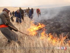Он гарсаар 33 удаа ой хээрийн түймэр гарчээ 