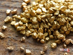 Алтны тухай таны мэдэх, мэдэхгүй нууцуудаас...