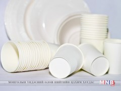 Энгийн хэрэглээг эрхэмлэх хэрэгтэй