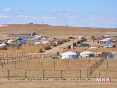 Энэ жил 5686.7 га газрыг иргэдэд үнэгүй өмчлүүлнэ 