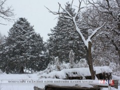 Амралтын өдрүүдэд ихэнх нутгаар цас орж сэрүүснэ 