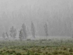 Алтайн өвөр бэл, Хангайн уулсаар бороо орно