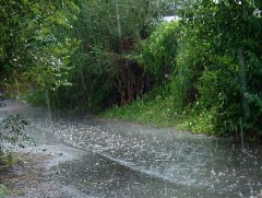 Өдөртөө Хангай, Хэнтийн уулархаг нутгаар бороо орно