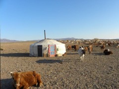 “Хоггүй хот айл” аян зохион байгуулжээ
